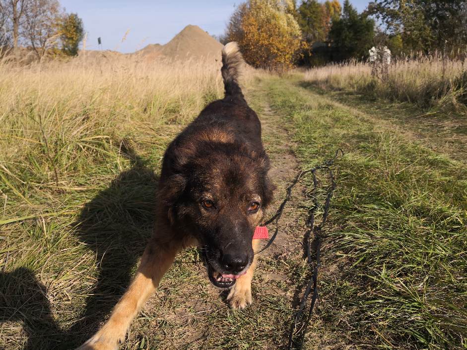 Sunia Nie Miała Nic A Teraz Ma Dom I Dwa Imiona Lusia Yoko