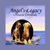 AngelsLegacy