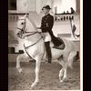 Lipizzan