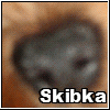 Skibka