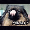 milcia17