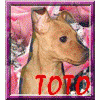 ToTo12345