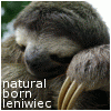 natural born leniwiec