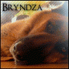 Bryndza