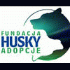 Fundacja Husky Adopcje